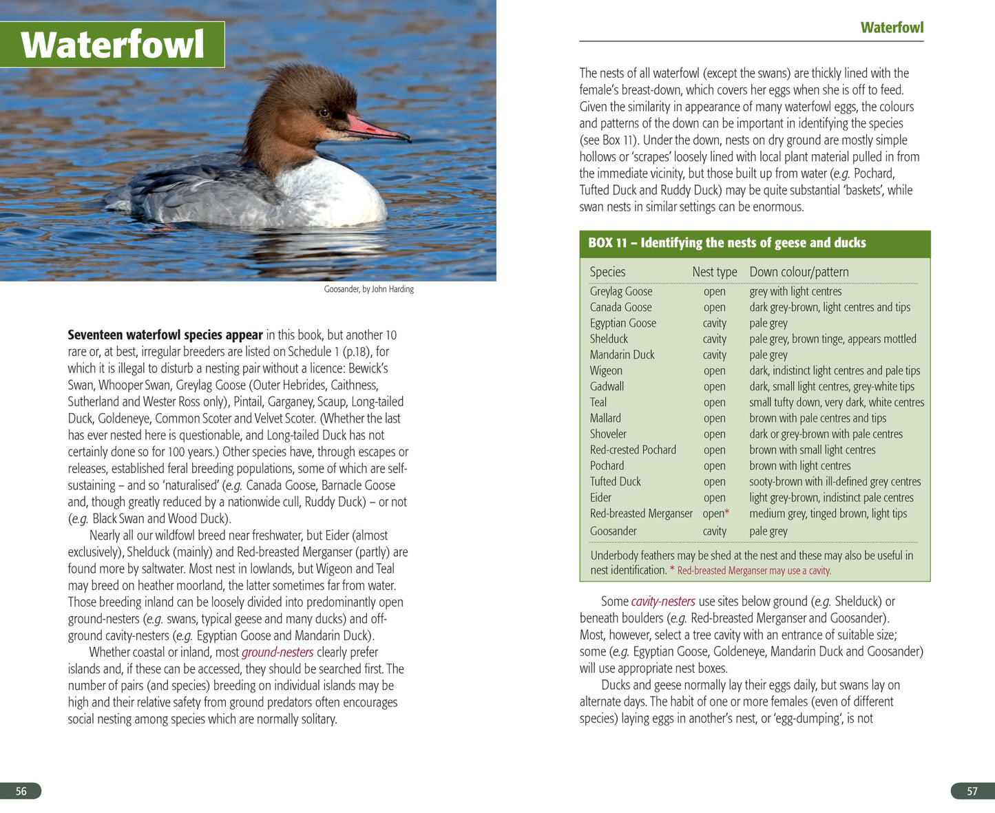 A Field Guide to Monitoring Nests